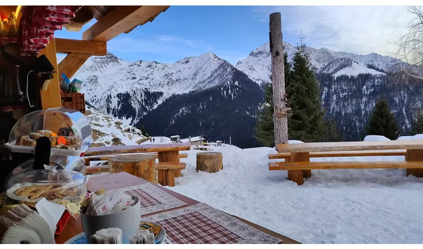 Alpen Bruc