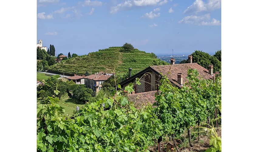 Terrazze di Montevecchia