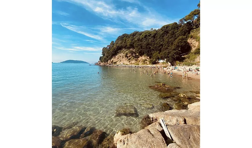 la marinella 