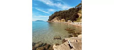 la marinella 