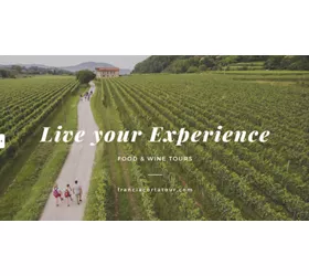 BACCHUS TOUR AFFILIATO INFO VACANZE