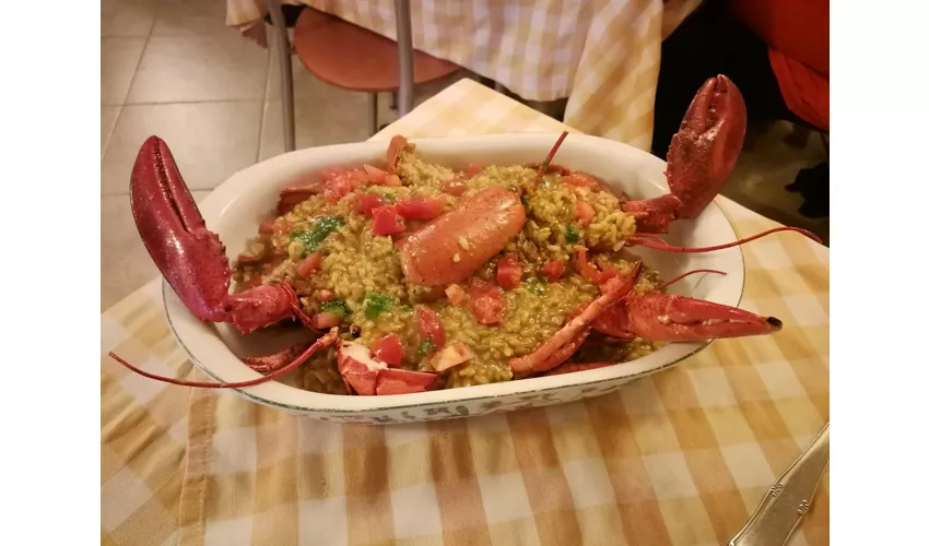 La Locanda del Contadino "Marino"