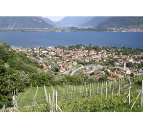 Agriturismo Sorsasso