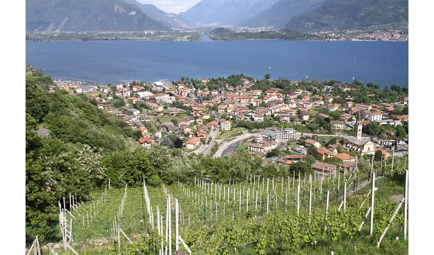 Agriturismo Sorsasso