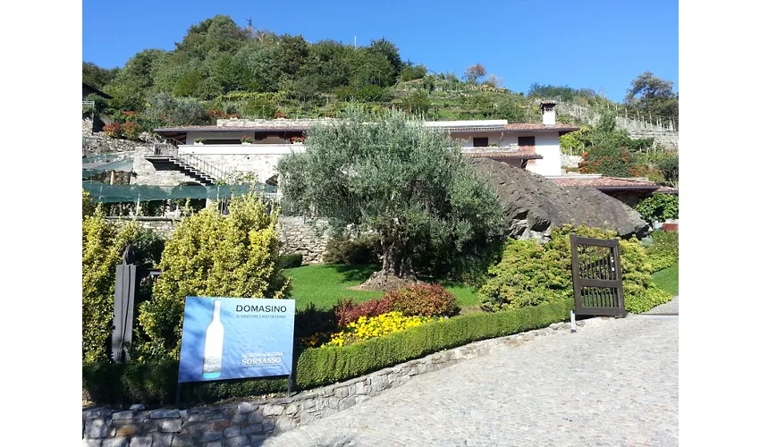 Agriturismo Sorsasso