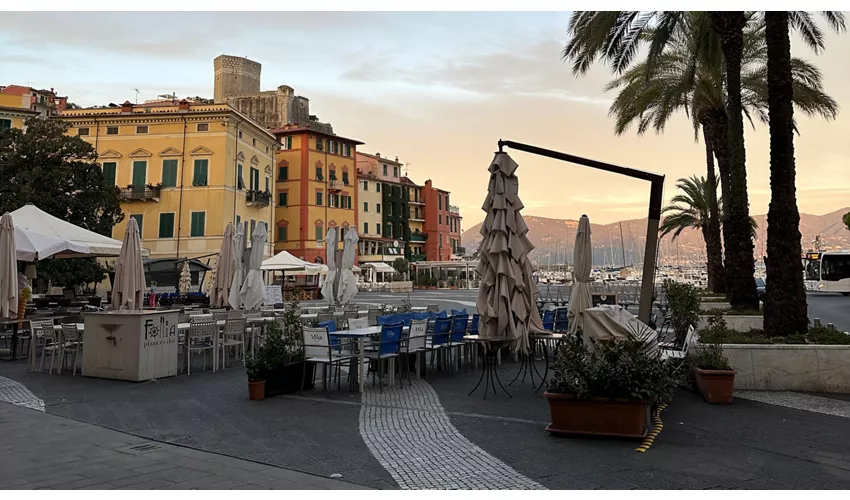 Moka Coffee and Drinks