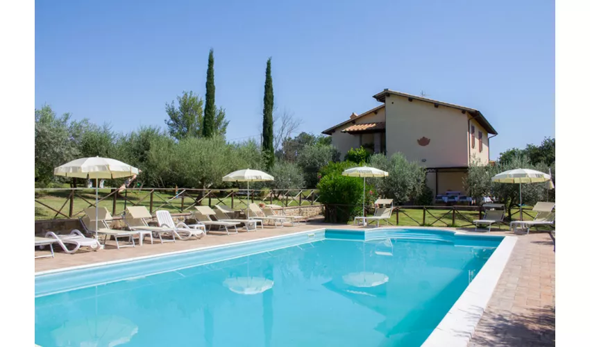 Agriturismo Il Cerreto