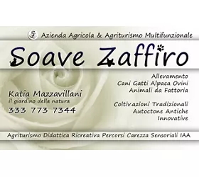 Agriturismo Soave Zaffiro