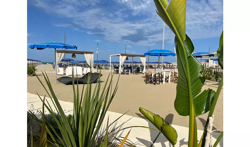 La Vela Beach Club - Stabilimento Balneare Numero 84