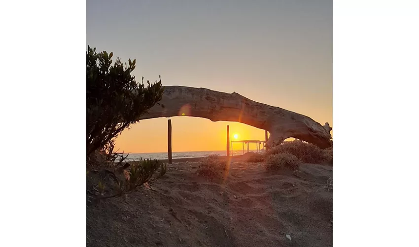 Le Dune Beach Restaurant