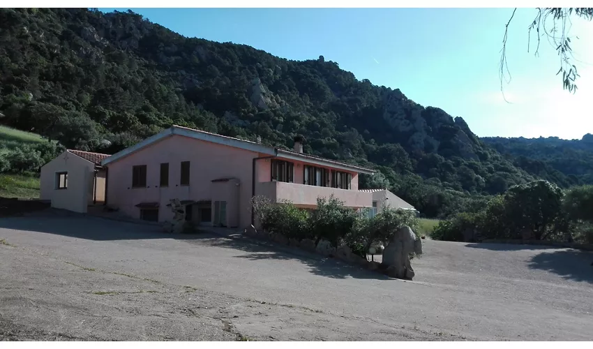 Agriturismo Monte Pino