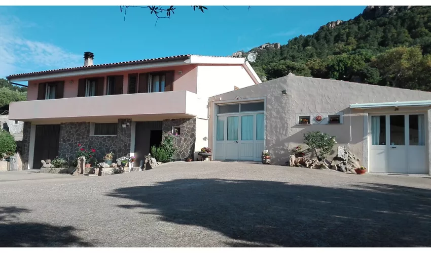 Agriturismo Monte Pino