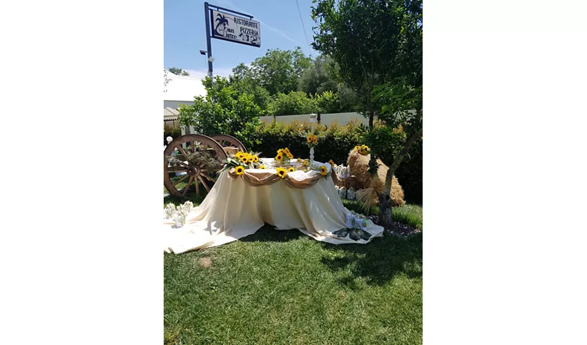 Ristorante Pizzeria B&B San Pietro