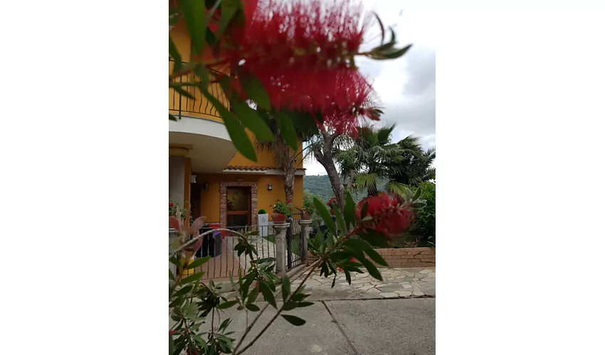 Ristorante Pizzeria B&B San Pietro