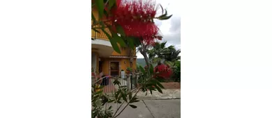 Ristorante Pizzeria B&B San Pietro