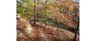 Parco Tematico Didattico Naturalistico
