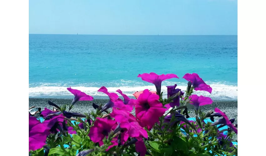 Bagni Lido Delle Sirene 