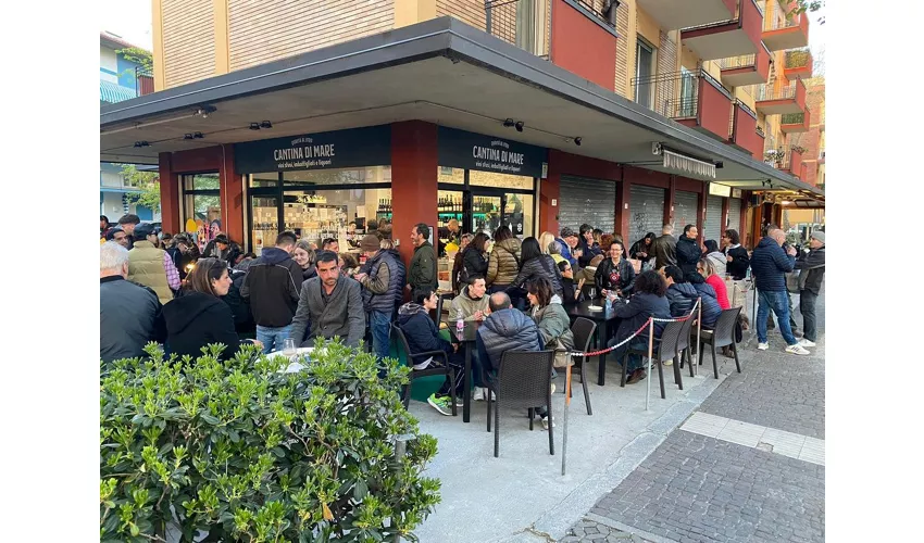 Cantina di mare, vini sfusi, imbottigliati, liquori e gin artigianali.