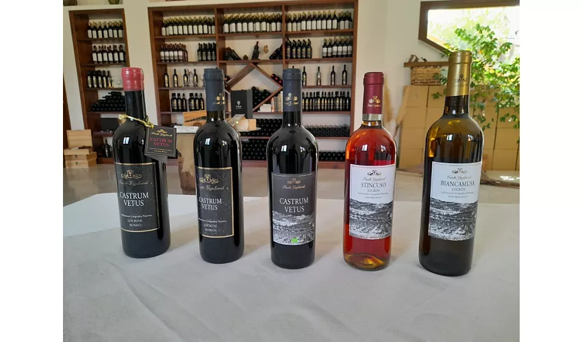 Agriturismo Feudo Gagliardi