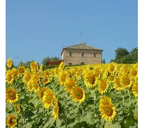 Agriturismo Casina Foglietti