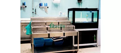 Antica Pescheria Fusco