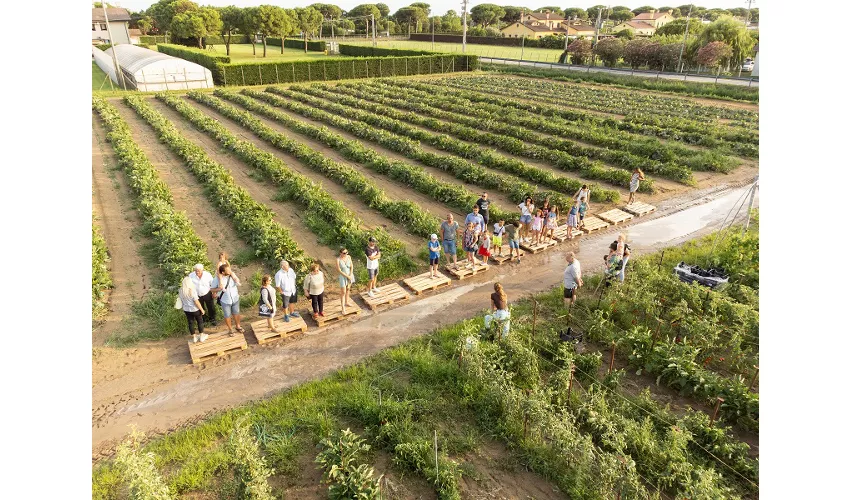 Azienda Agricola Valleri Stefano
