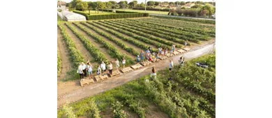 Azienda Agricola Valleri Stefano