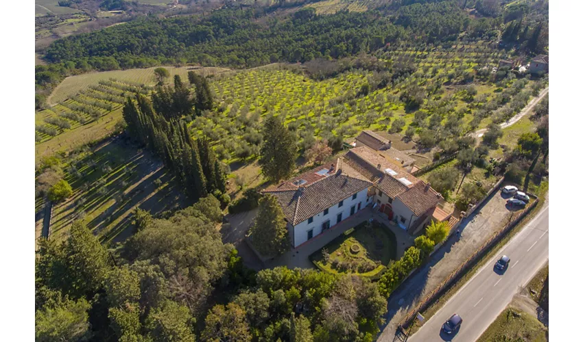 Agriturismo Ulivello in Chianti