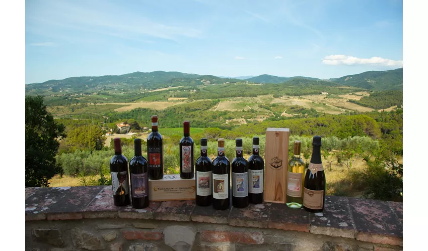 Agriturismo Ulivello in Chianti