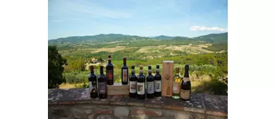 Agriturismo Ulivello in Chianti