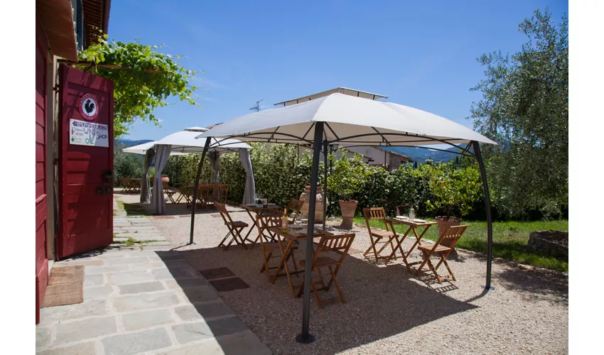 Agriturismo Ulivello in Chianti