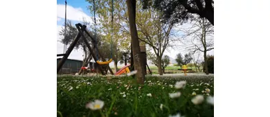 Azienda Agrituristica Collina di Roseto