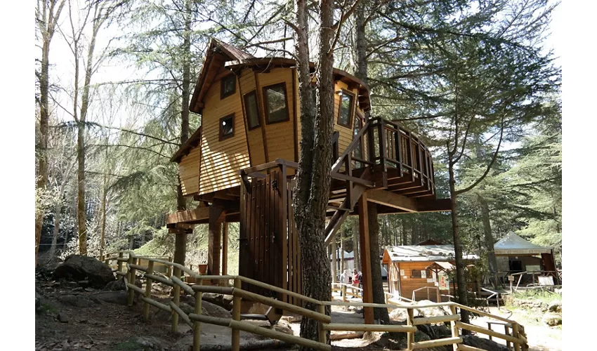 Parco Avventura Madonie