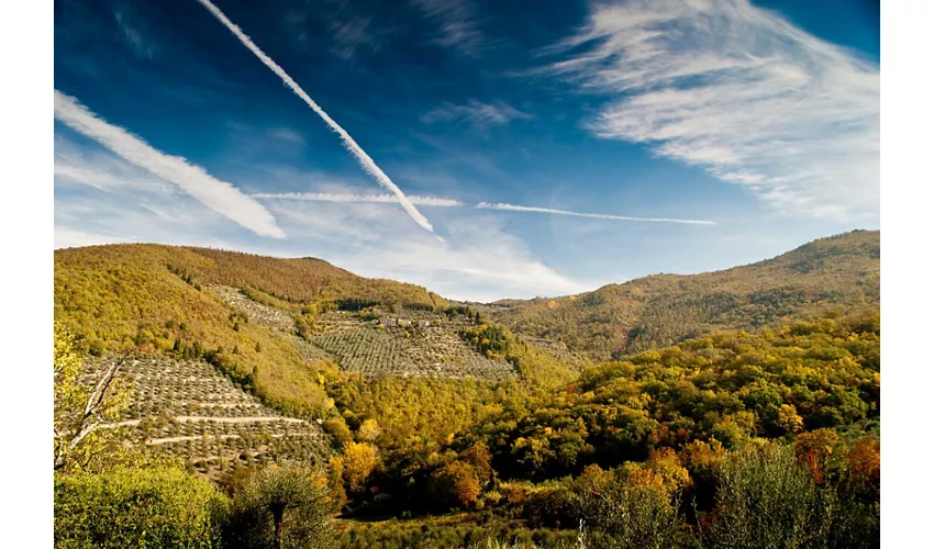 Fattoria di Volmiano