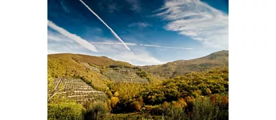 Fattoria di Volmiano