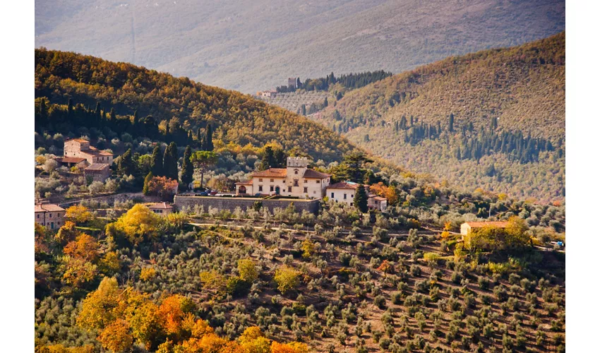 Fattoria di Volmiano