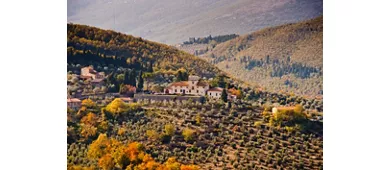 Fattoria di Volmiano