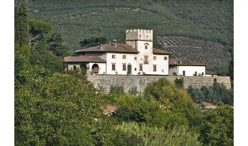 Fattoria di Volmiano