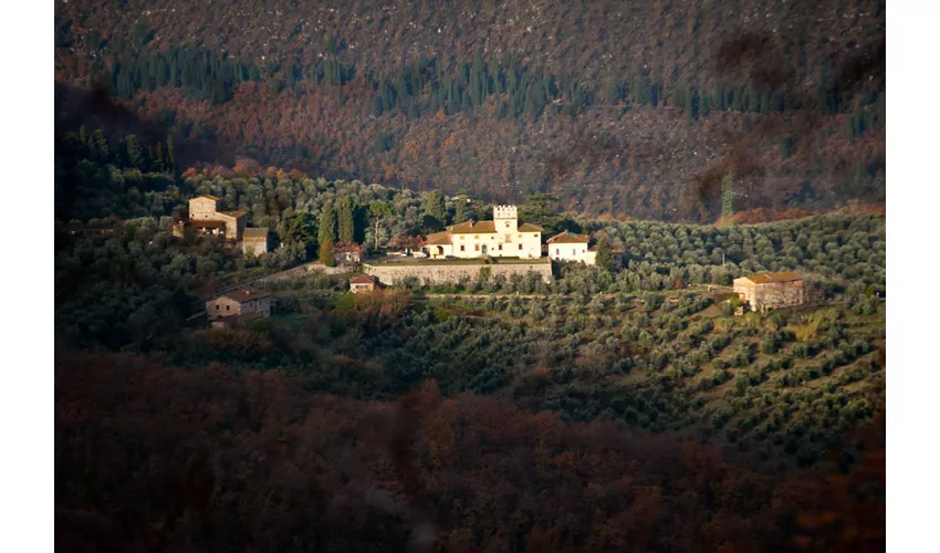 Fattoria di Volmiano