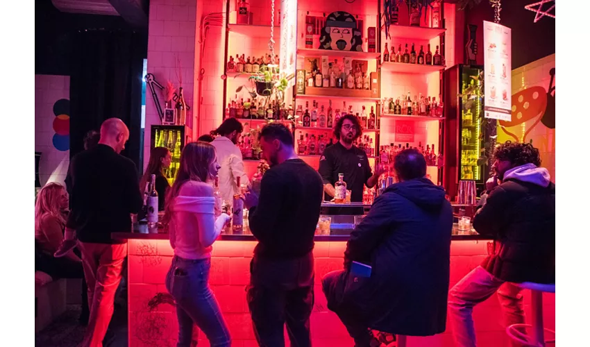 BarProject Academy