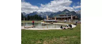 Rifugio Chalet Dosson