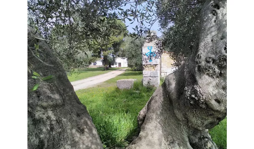 Immagine di Sileno