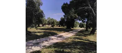 Immagine di Sileno