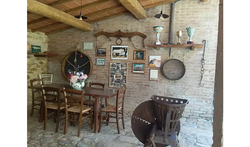 Agriturismo Fabbrini Podere Chiostro