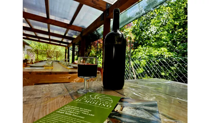 Agriturismo Il Molino