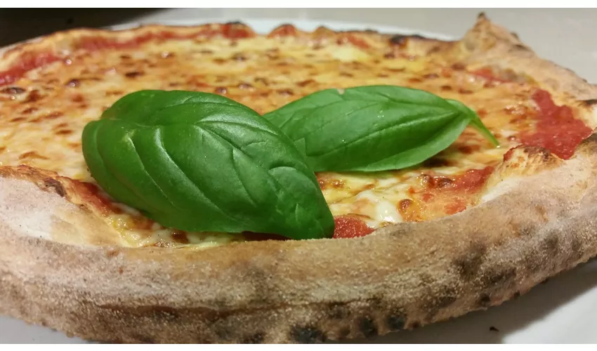 Pizzeria Le Coccinelle