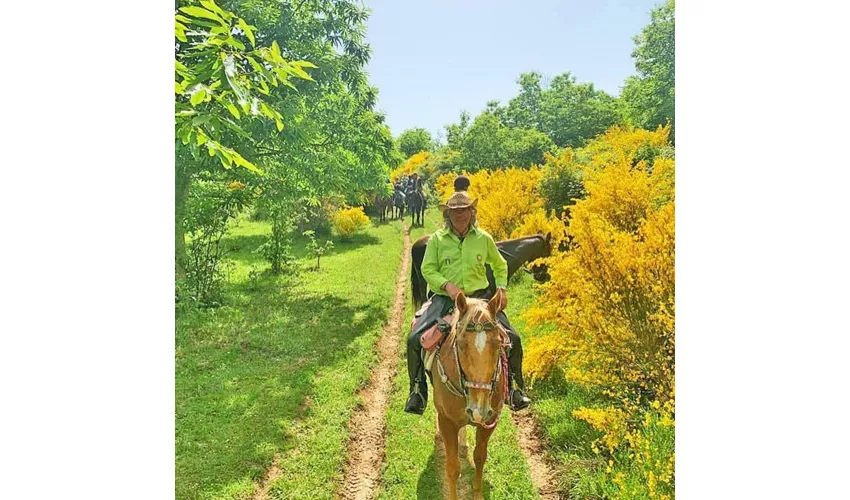 Agriturismo La Somma