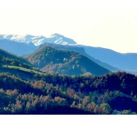 Agriturismo il Rifugio