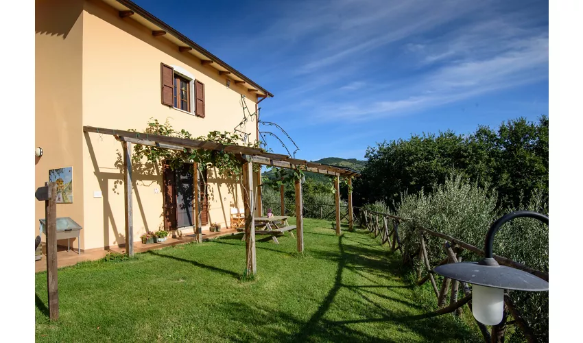 Agriturismo La Coccinella
