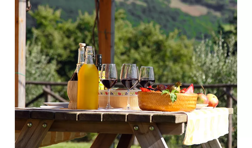 Agriturismo La Coccinella